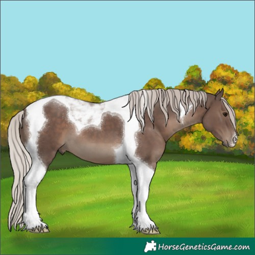Horse Color:Silver Black Tobiano 