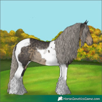 Horse Color:Silver Smoky Black Tobiano Rabicano 