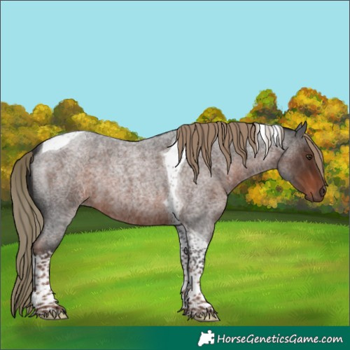 Horse Color:Liver Red Roan Tobiano 
