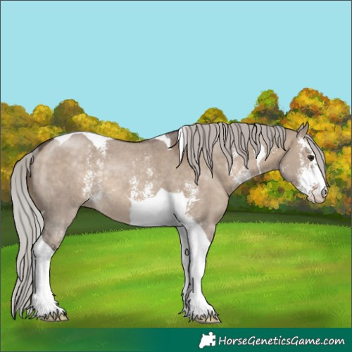 Horse Color:Silver Brown Dun Sabino Tobiano Rabicano 