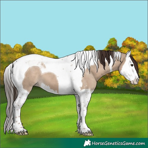 Horse Color:Liver Red Dun Splash Tobiano 