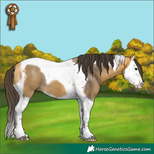 Horse Color:Buckskin Splash Tobiano 