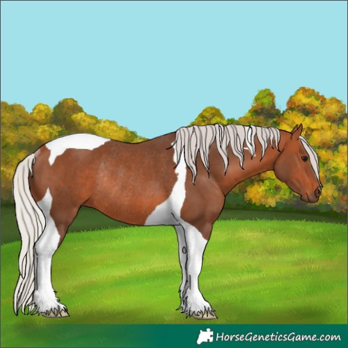 Horse Color:Silver Bay Tobiano Rabicano 
