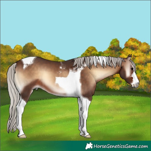 Horse Color:Silver Brown Onyx Tobiano 