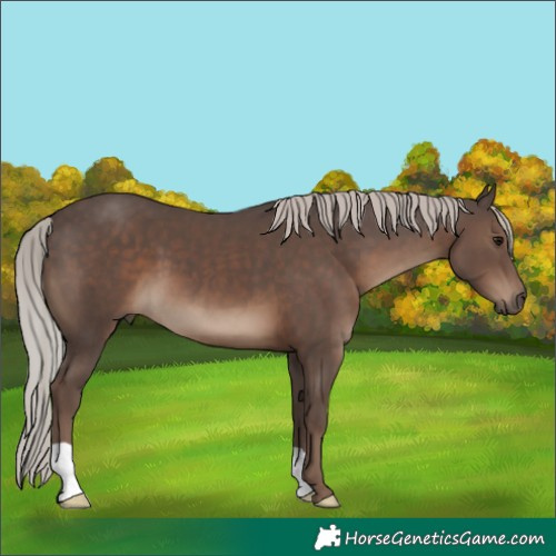 Horse Color:Silver Black 