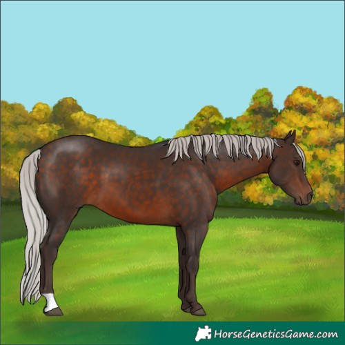 Horse Color:Silver Brown 
