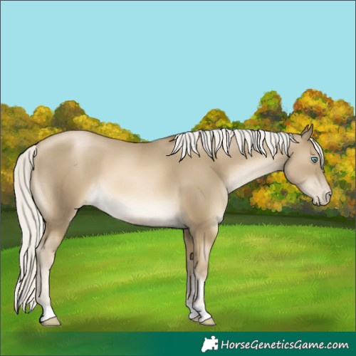 Horse Color:Silver Smoky Black Pearl 