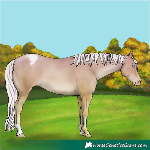 Horse Color:Silver Buckskin Pearl Varnish 