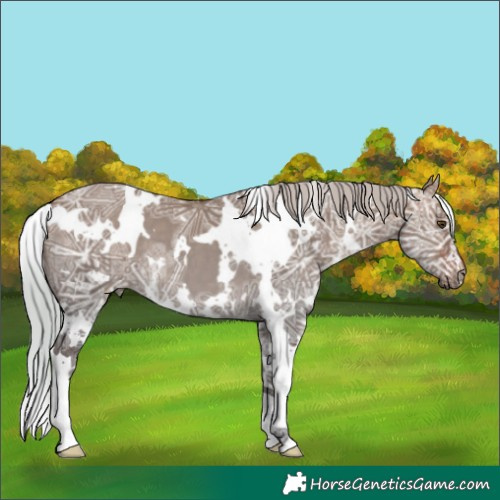 Horse Color:White Spotted Silver Bay Ice Dun 