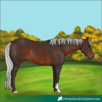 Horse Color:Silver Brown