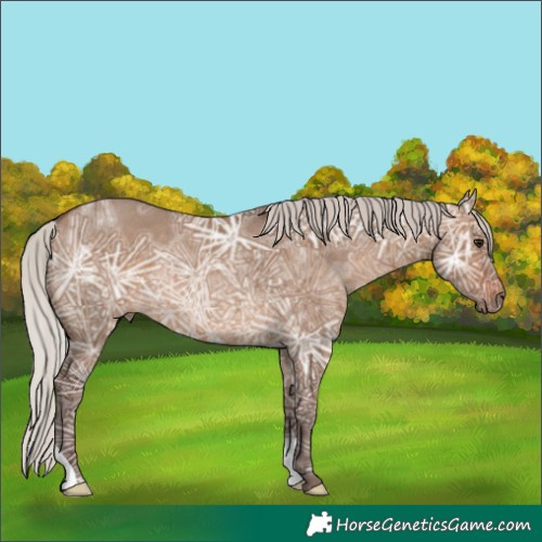 Horse Color:Silver Brown Ice Dun Rabicano