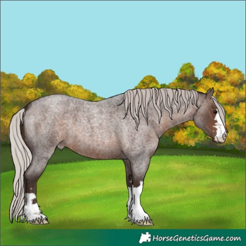 Horse Color:Silver Brown Roan 