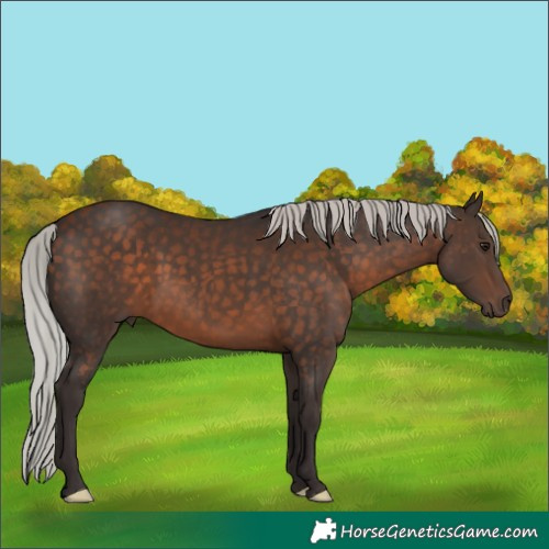 Horse Color:Silver Brown 