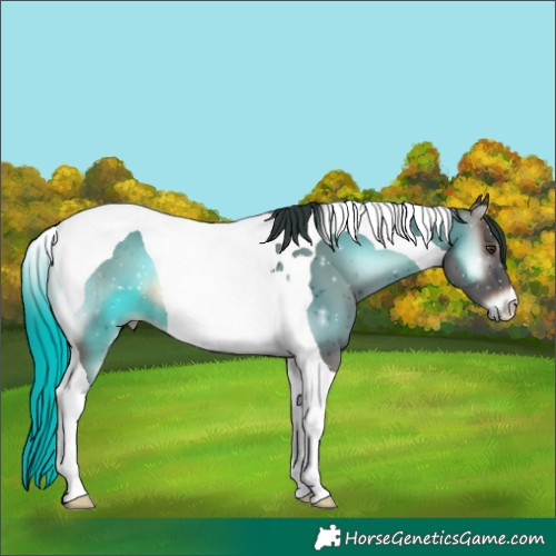 Horse Color:Liver Red Onyx Tobiano 