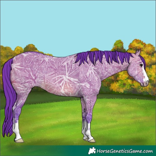 Horse Color:Watercolor Brown Ice Dun 