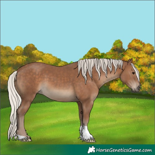 Horse Color:Silver Black 