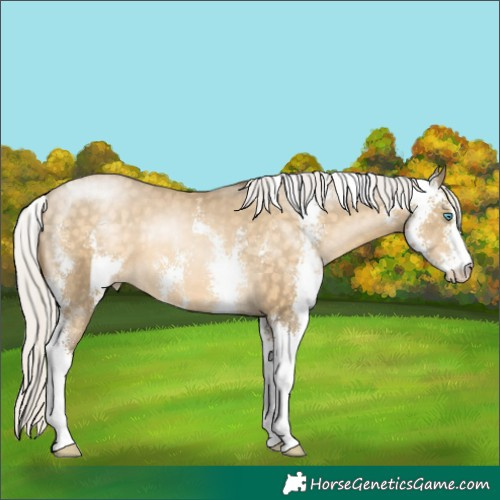 Horse Color:Silver Buckskin Pearl Sabino 