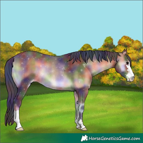 Horse Color:Nacre Bay Onyx Varnish 