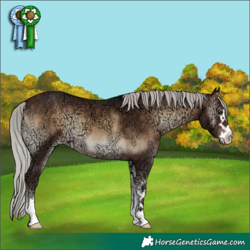 Horse Color:Silver Brown Ice Onyx 