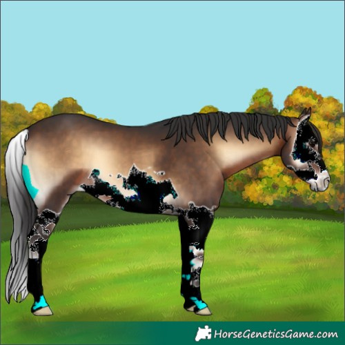 Horse Color:Brown Onyx Splash 