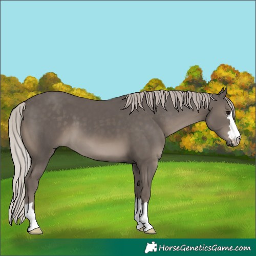 Horse Color:Silver Black 
