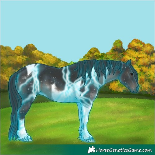 Horse Color:Thunderstruck Black Tobiano 