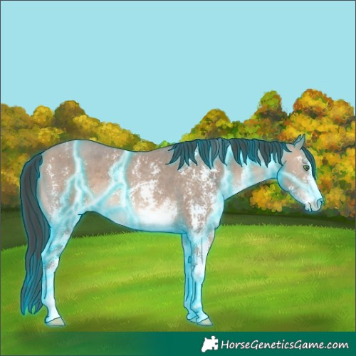 Horse Color:Thunderstruck Sable Champagne Sabino 