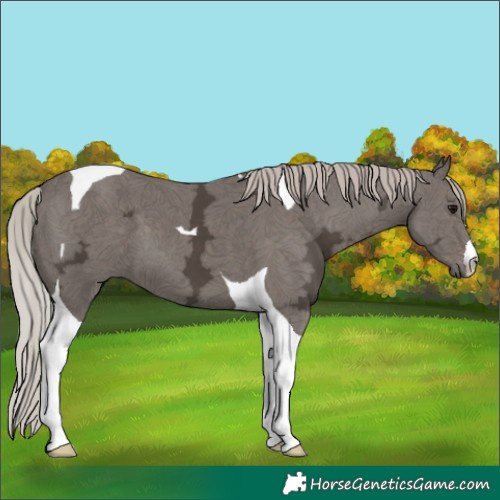 Horse Color:Silver Black Ice Tobiano 