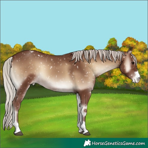Horse Color:Silver Blue Onyx Snowflake Varnish 