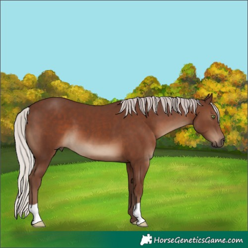 Horse Color:Silver Black 