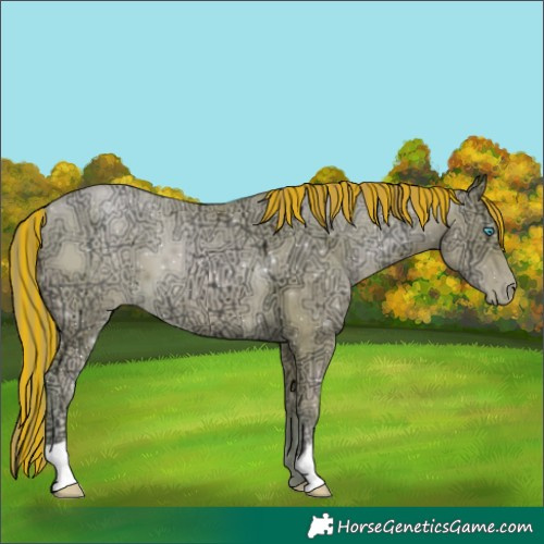 Horse Color:Painted Buckskin Ice Pearl 