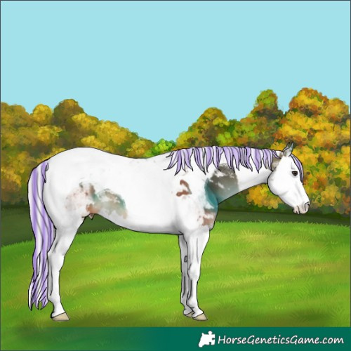 Horse Color:Painted Silver Bay Splash Tobiano 