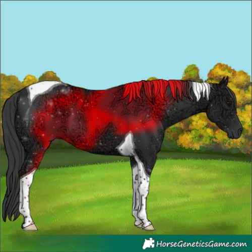 Horse Color:Black Ice Tobiano