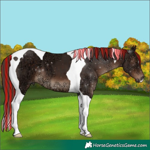 Horse Color:Painted Liver Chestnut Ice Tobiano