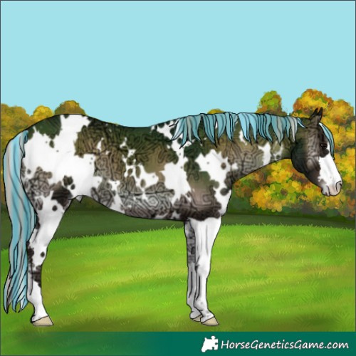 Horse Color:Painted White Spotted Silver Brown Ice Onyx Varnish 