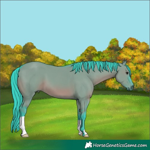 Horse Color:Watercolor Grullo 