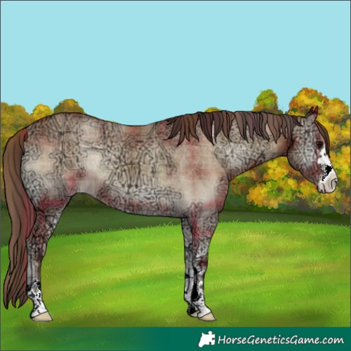 Horse Color:Plaid  Classic Champagne Ice Onyx 