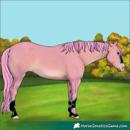 Horse Color:Watercolor Brown Dun 
