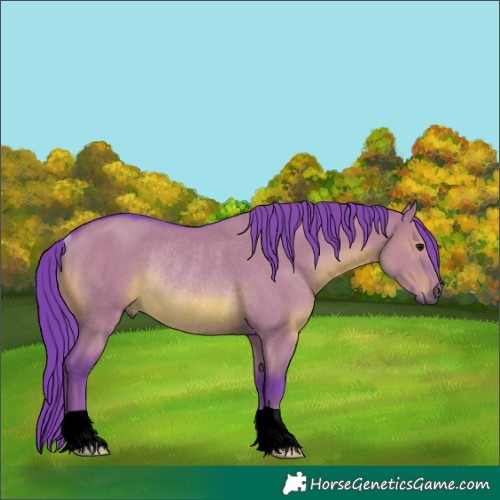 Horse Color:Watercolor Grullo Rabicano 