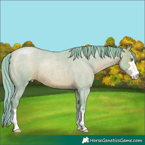 Horse Color:Watercolor Brown Roan Pearl 