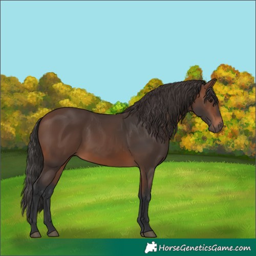Horse Color:Brown 