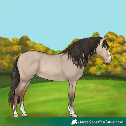 Horse Color:Amber Champagne Dun 
