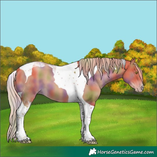 Horse Color:Nacre Gold Champagne Tobiano 