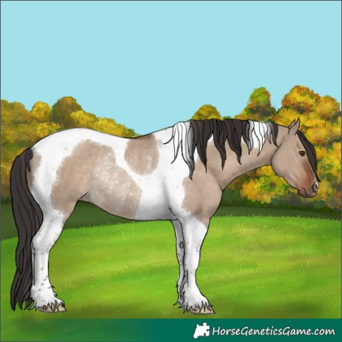 Horse Color:Liver Red Dun Tobiano Rabicano 