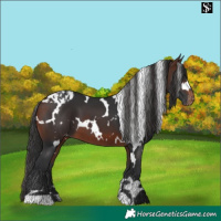 Horse Color:White Spotted Brown Skewed LP Spotted