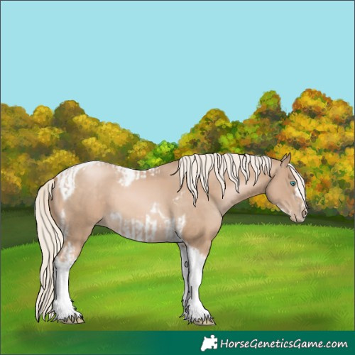 Horse Color:Chocolate Palomino Pearl Tobiano Frame  and Chocolate Palomino Pearl Tobiano Frame 