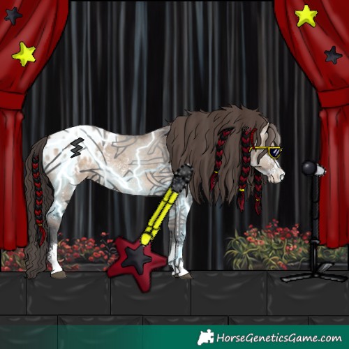 Horse Color:Brown Dun Sabino Appaloosa Rabicano 