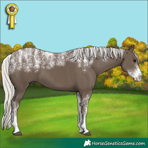 Horse Color:Powder White Silver Black