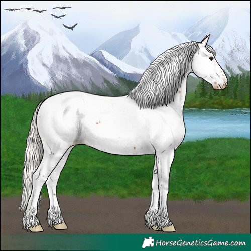 Horse Color:Silver Bay Splash Tobiano Frame Appaloosa