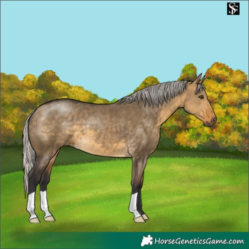 Horse Color:Silver Buckskin Dun 
